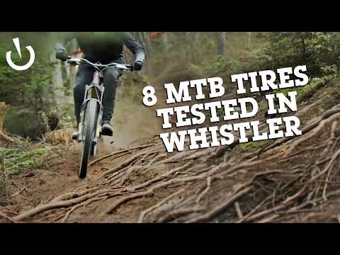 Which MTB Tires Impressed Us? | Vital MTB Test Sessions