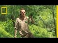 Understanding Jewelweed and Poison Ivy