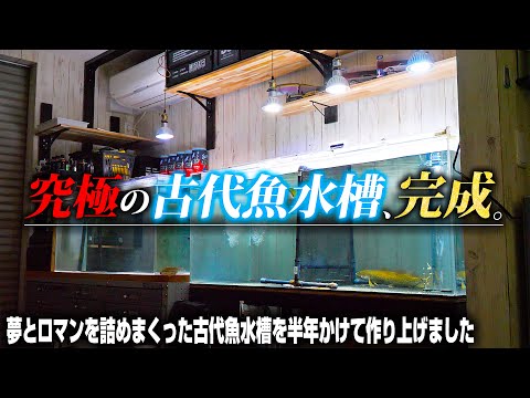 【夢とロマン】新しい古代魚のために究極の水槽を作り上げました【一気見】
