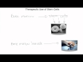Stem Cell Therapy and Chemotherapy
