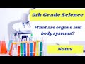 Sensory Organs and Body Systems