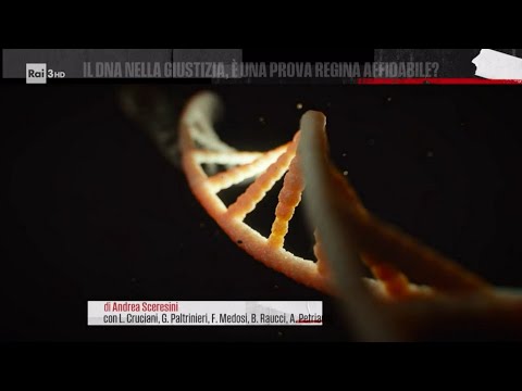 Il DNA nella giustizia è una prova regina affidabile? - Farwest 17/06/2024