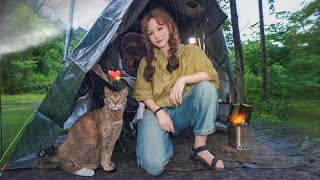 비내리는 숲속, 차안에 들어온 고양이와 아늑한 솔로 차박 캠핑  🐈☔️⛺️ / 야수 냥꾼의 삶