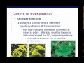 Plant Transport Mechanisms and Functions