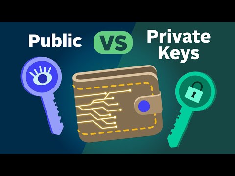 role of public snd privste keys fir a crypto wallet