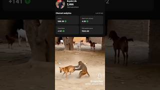 ye kya ho gya 🤣🤣 #comedy #mrbeast #comedy #funnymoment #funny #lol #funniestvideo #biglaughs