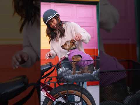 EBikes, Dogs, & Sunsets #SHORTS