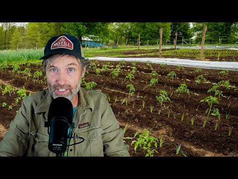 When No-Till is Actually HARDER + A Tick Check-in!