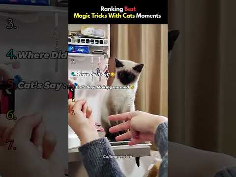 DO NOT CHECK THE SOUND 😭😭