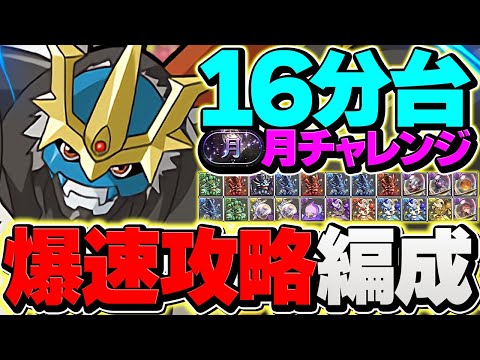 【誰でも勝てる】インペリアルドラモンで月チャレンジ破壊！立ち回り&代用解説！これ組めばOKです！【パズドラ】