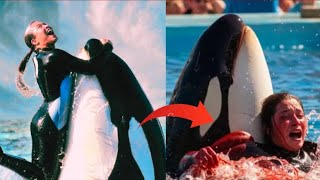 زمانی که نهنگ های قاتل به مربی های خود حمله می‌کنند 