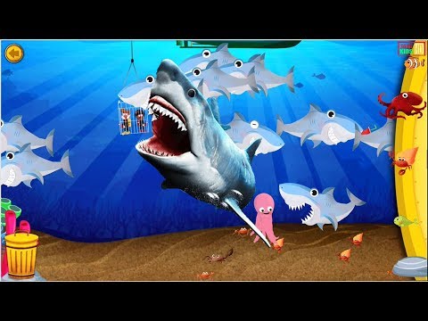 Learn And Preserve The Environment Of Animals Living In The Ocean - Fun Educational Games