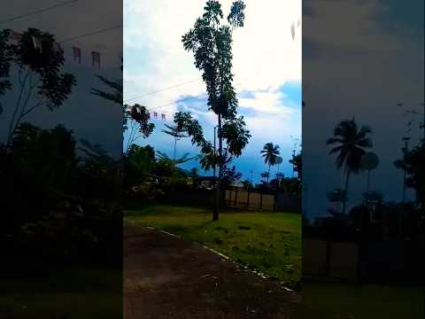 #roadtrip #naturelovers #youtubeshorts #music  #fypシ゚viral #nature