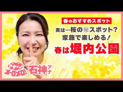本当は教えたくない…🌸親子で楽しめる桜の穴場スポット愛知・安城市「堀内公園」【アナメロ】