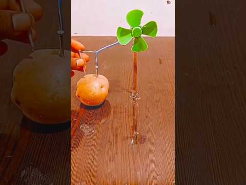 How To Make a Dc Motor Fan Without Battery 🔋 #shorts #trending #viralshort