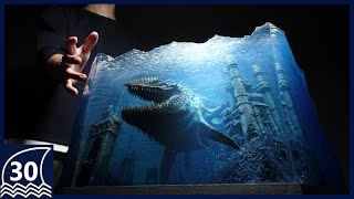 動画サムネイル