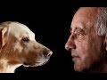 Understanding Social Cues in Animals