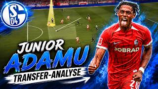 Pressing-Gott & Chancentod? SCHALKE 04 verpflichtet JUNIOR ADAMU als neuen Stürmer!