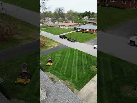 Some people just want their moneys worth #lawncare #thatlawndude