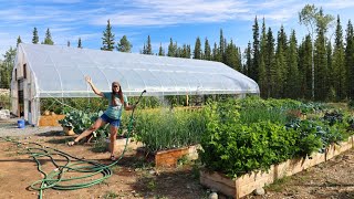 FULL Garden & Greenhouse Tour – Growing Food in Alaska Zone 1