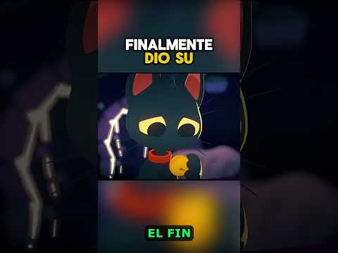 ¡El gato al que sólo le quedaba una vida!