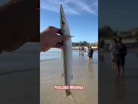 Pescada Milonga