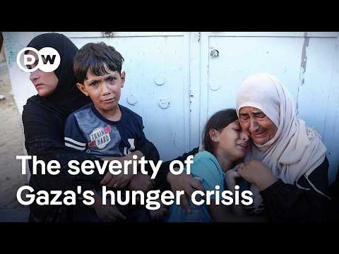 Gaza's hunger crisis: What it is like on the ground, and what comes next | DW News