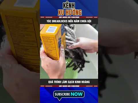 TÓC DREADLOCKS NỬA NĂM CHƯA GỘI: QUÁ TRÌNH LÀM SẠCH KINH HOÀNG