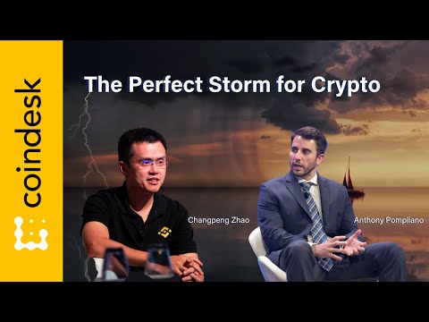 Is COVID-19 the Perfect Storm for Cryptocurrencies?