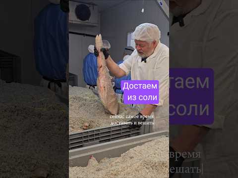 Засолили #хамон теперь вешаем на выдержку #рецепты #мясо #производство #подарок #топ
