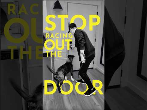 How to teach your dog not to dart out the door  #dogtraining  #puppytraining #yourdog #puppy