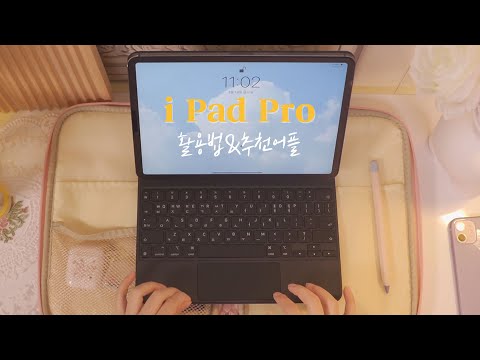🍎앱등이의 아이패드 활용기 &amp; 어플 추천 ( 노션, 프로크리에이트, 굿노트, 스플릿 뷰 )
