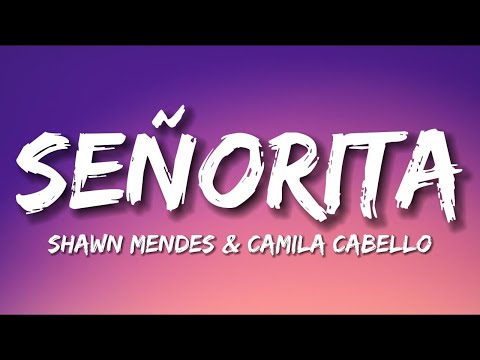 Shawn Mendes &amp; Camila Cabello - Se&#241;orita (Lyrics)