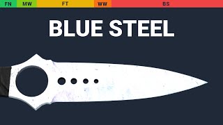 Skeleton Knife Blue Steel Wear Preview