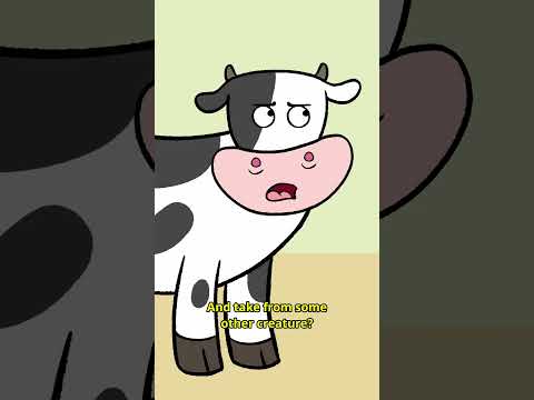 Are you eating my honey? 🍯🐝 #animation #cartoon #funnyvideo #comedy