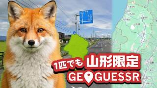 【GeoGuessr】一匹でも場所を特定したい！【エイプリルフール】