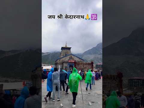 जय श्री केदारनाथ Jay Baba ki 🙏❤️🕉️