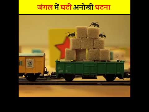 जंगल में घटी अनोखी घटना | चींटियों की शर्मनाक हरकत | #shorts #short