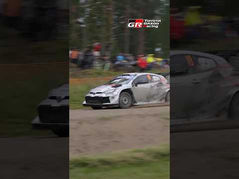 WRC 2025 Rd.9 Rally FINLAND SS8