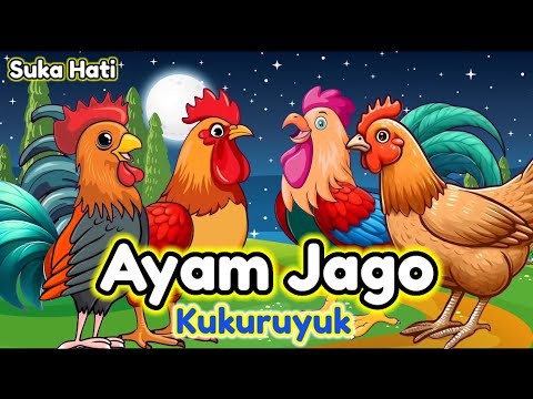 Lagu Anak 🇮🇩 Kalau Kau Suka Hati Tepuk Tangan - Kuku Kukuruyuk - Lagu Ayam Jago - Ayam Berkokok