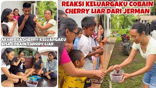 AKHIRNYA CHERRY PINGGIR JALAN DARI JERMAN DICOBAIN KELUARGAKU