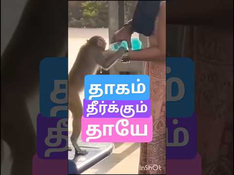 #animals #thirst #shortsvideo #viralshort #trending #viralreels #love #god #new #newvideo #life #us