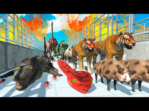 EL PASILLO MORTAL DE ANIMALES ASESINOS | ANIMAL REVOLT BATTLE SIMULATOR