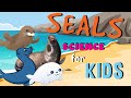 Seal Habitats and Characteristics