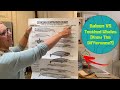 Baleen Whales Feeding and Anatomy