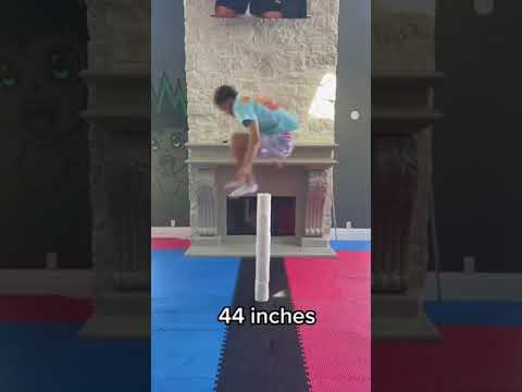 Who Can Jump The Highest?!