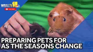 Get up to date on your pets' needs as seasons change