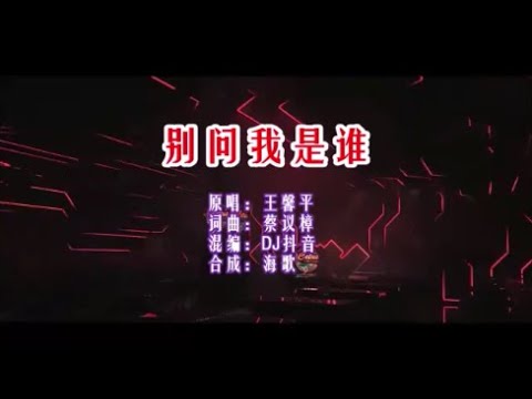 王馨平 《別問我是誰（DJ抖音版）》 KTV 導唱字幕 （備有伴奏視頻）