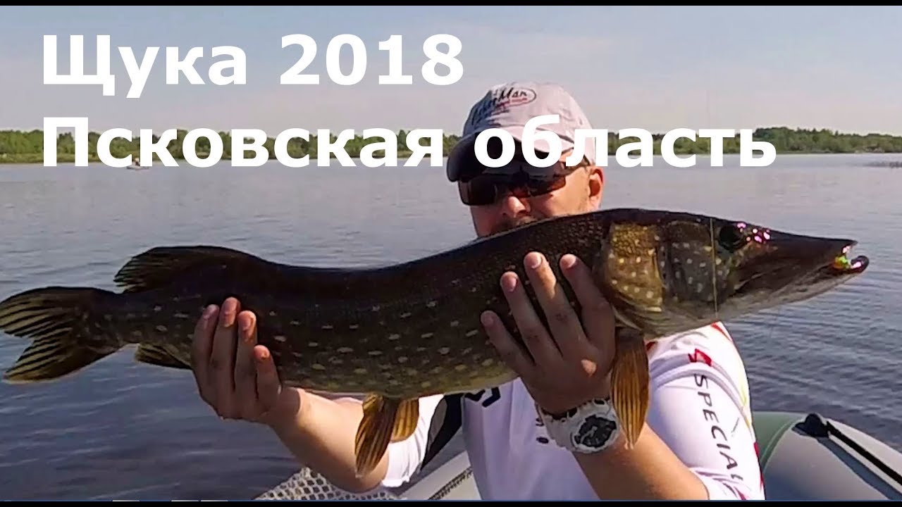 Конец нерестового запрета 2018. Рыбалка. Щука. Псковская область