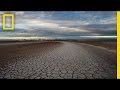 Colorado River Delta Restoration Strategies